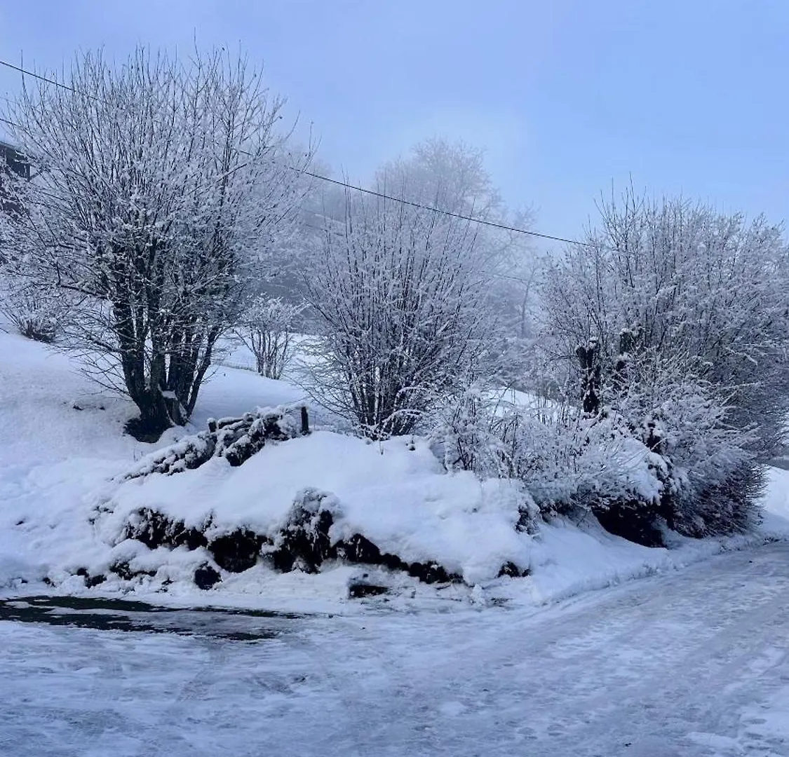 Chalet A Morillon France